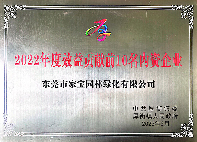 2022年度東莞厚街效益貢獻(xiàn)前十名內(nèi)資企業(yè)